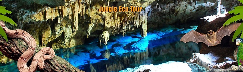 Discover the jungle with the Jungle Eco Tour from Punta Cana and Bayahibe